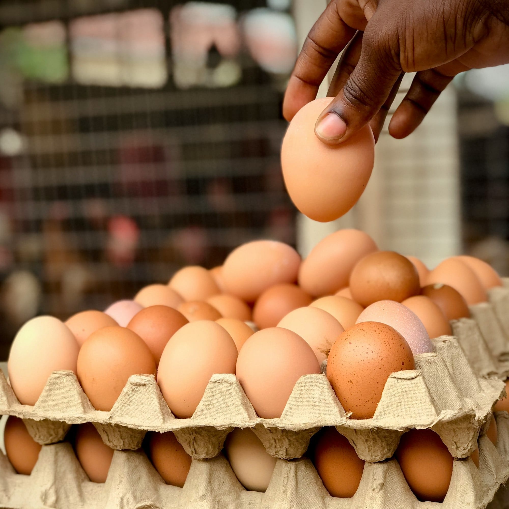 a person reaching for an egg in a carton