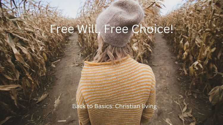 Free Will, Free Choice!