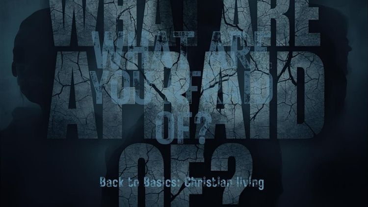 What Are You Afraid Of?