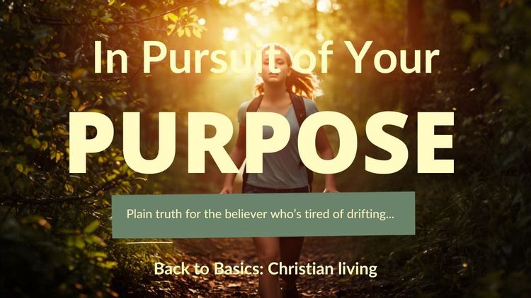 In Pursuit of Your Purpose!