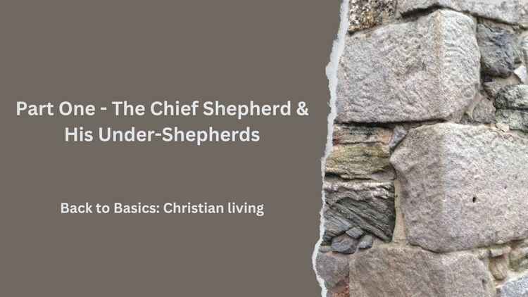 Part One - The Chief Shepherd & His Under-Shepherds