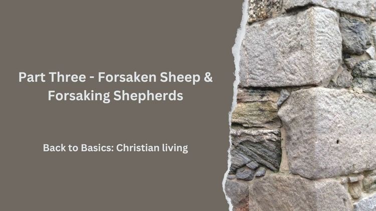 Part Three - Forsaken Sheep & Forsaking Shepherds