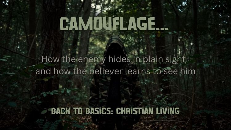 Camouflage…
