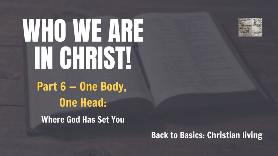 Part 6 — One Body, One Head: Where God Has Set You