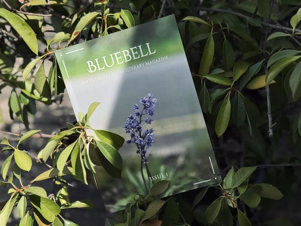 Bluebell Book Launch @ Hackney, London on 27 July