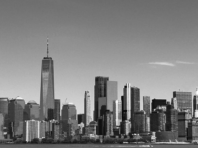 An SEC Settlement Barred a Netcapital Director From the Securities Business
