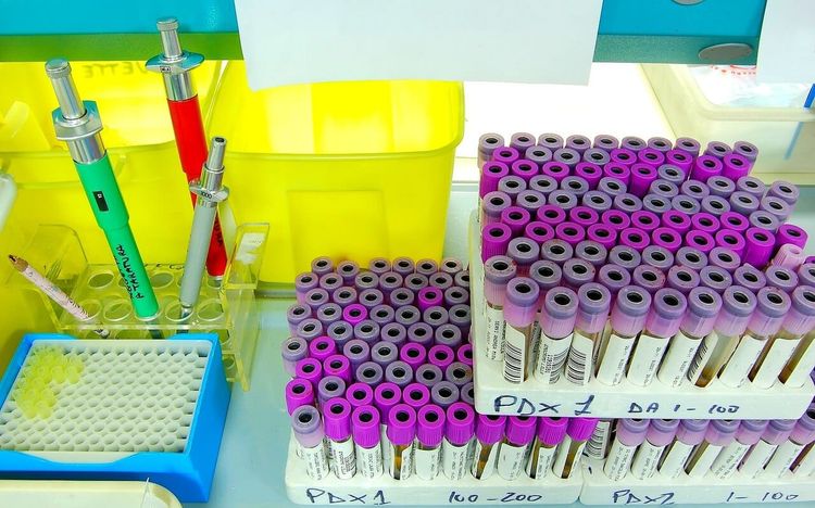Marvel Biosciences Extends Its Private Placement to Quebec Investors