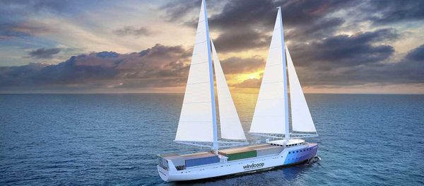 Épinard 🌳#15 - Les Licoornes & Windcoop