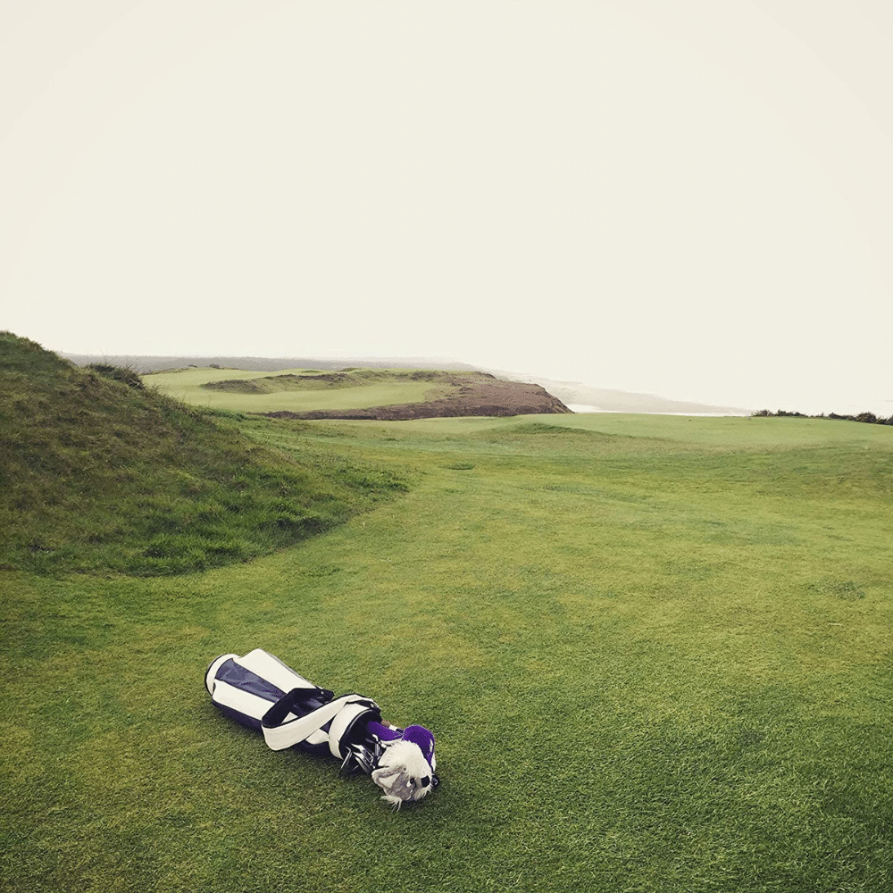 Sunday Golf Bag