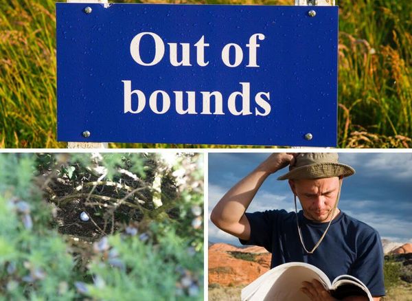 You Won't Believe This Golf Out of Bounds Rule - FORE Real!