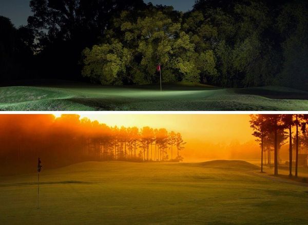 How Many Golf Courses In The US: Crazy Numbers, Surprising Facts and Shocking Revelations