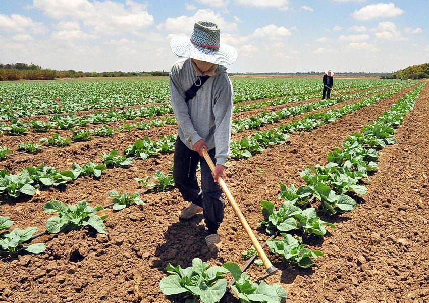 Venezuela vuelve al radar: el movimiento de Cisneros y la ventana silenciosa en la industria alimentaria