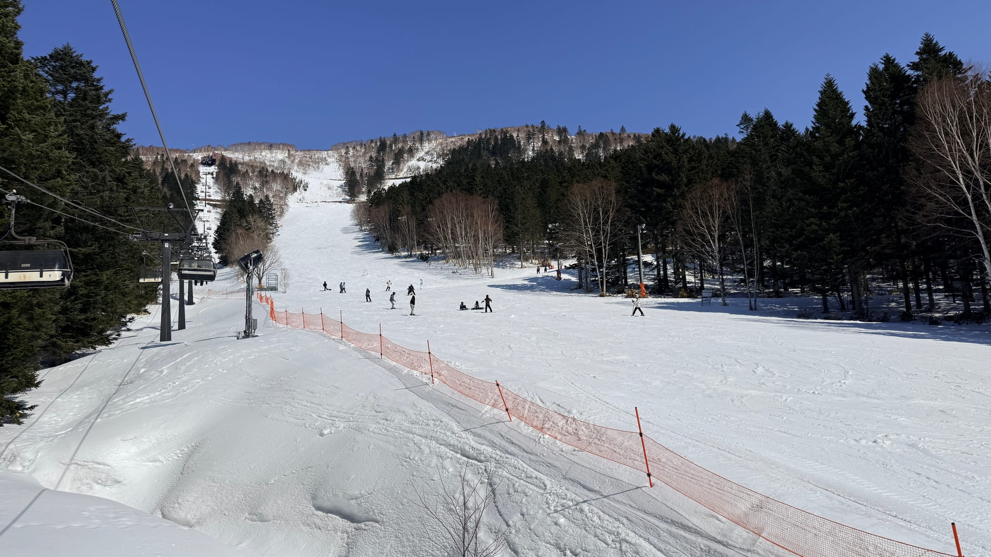 綠線或藍線滑行