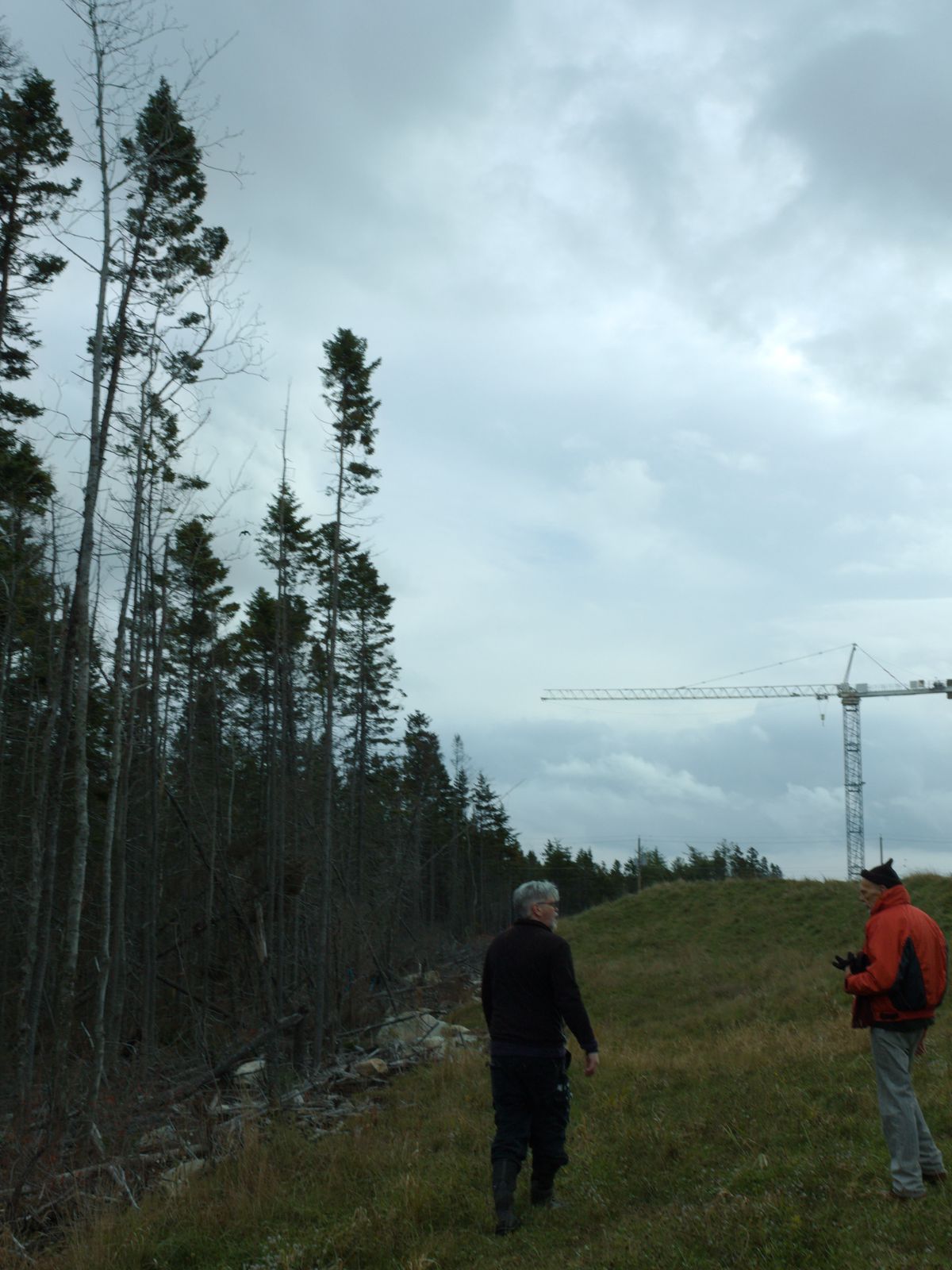 Eisner Cove Prosecution delayed