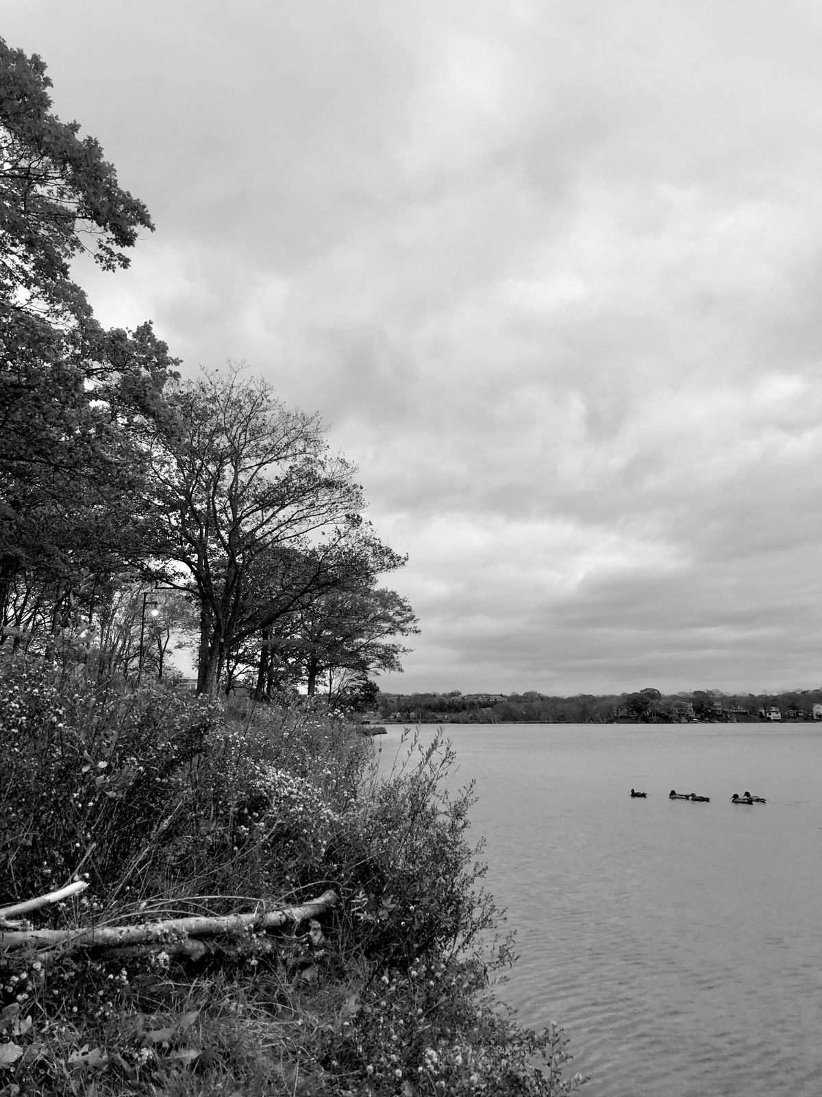 Halifax is not ready for the climate crisis