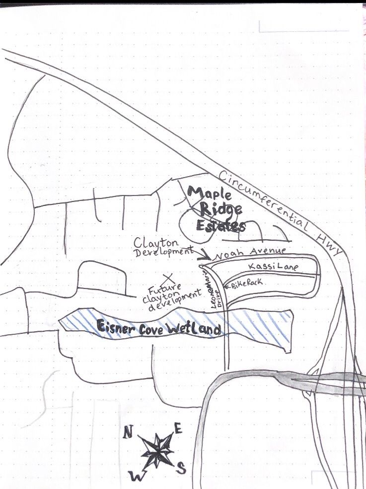 Eisner Cove Wetland alteration