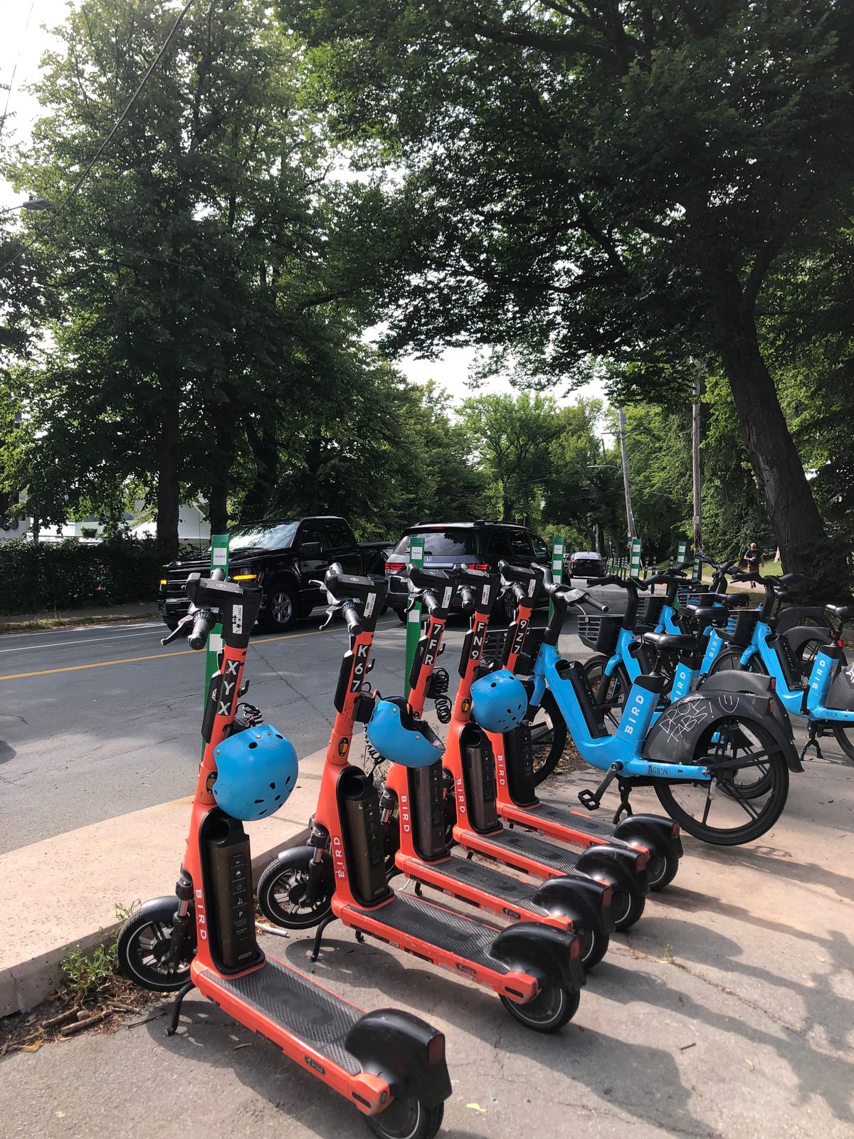 The e-scooter moral panic