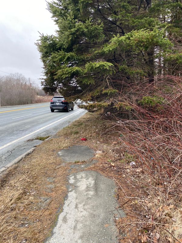 Where the sidewalk ends