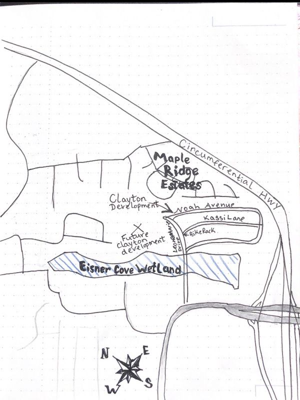 Eisner Cove Wetland alteration