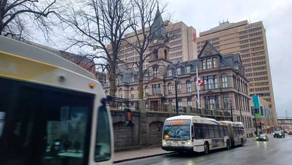 Halifax Transit embarrasses city, again