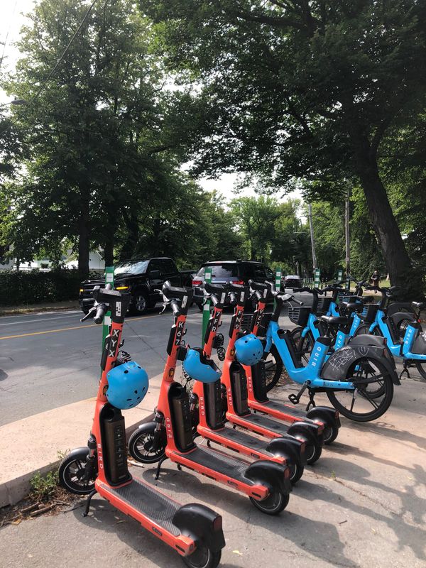 The e-scooter moral panic