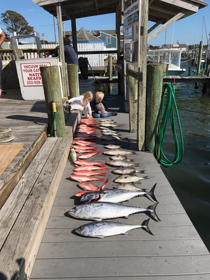 How to Choose the Best Fishing Charter for Your Family Vacation with DreamGirl Sport Fishing