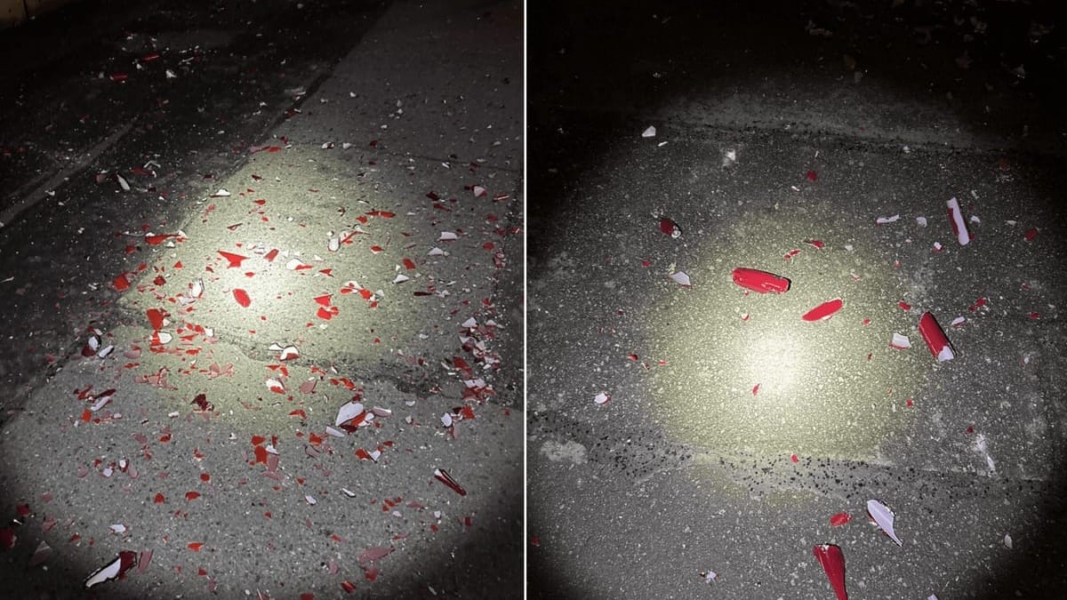 Suspect Arrested for $240,000 Damage to Chihuly Glass Artworks