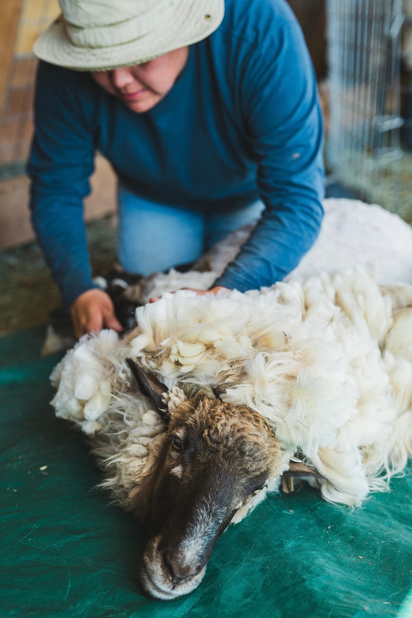 Nikyle Begay Resurrects Century-Old Diné Weavings