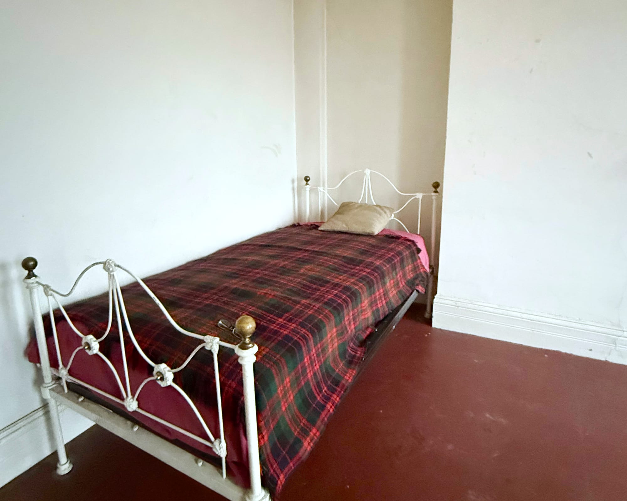 A View From the Easel With Celia Paul