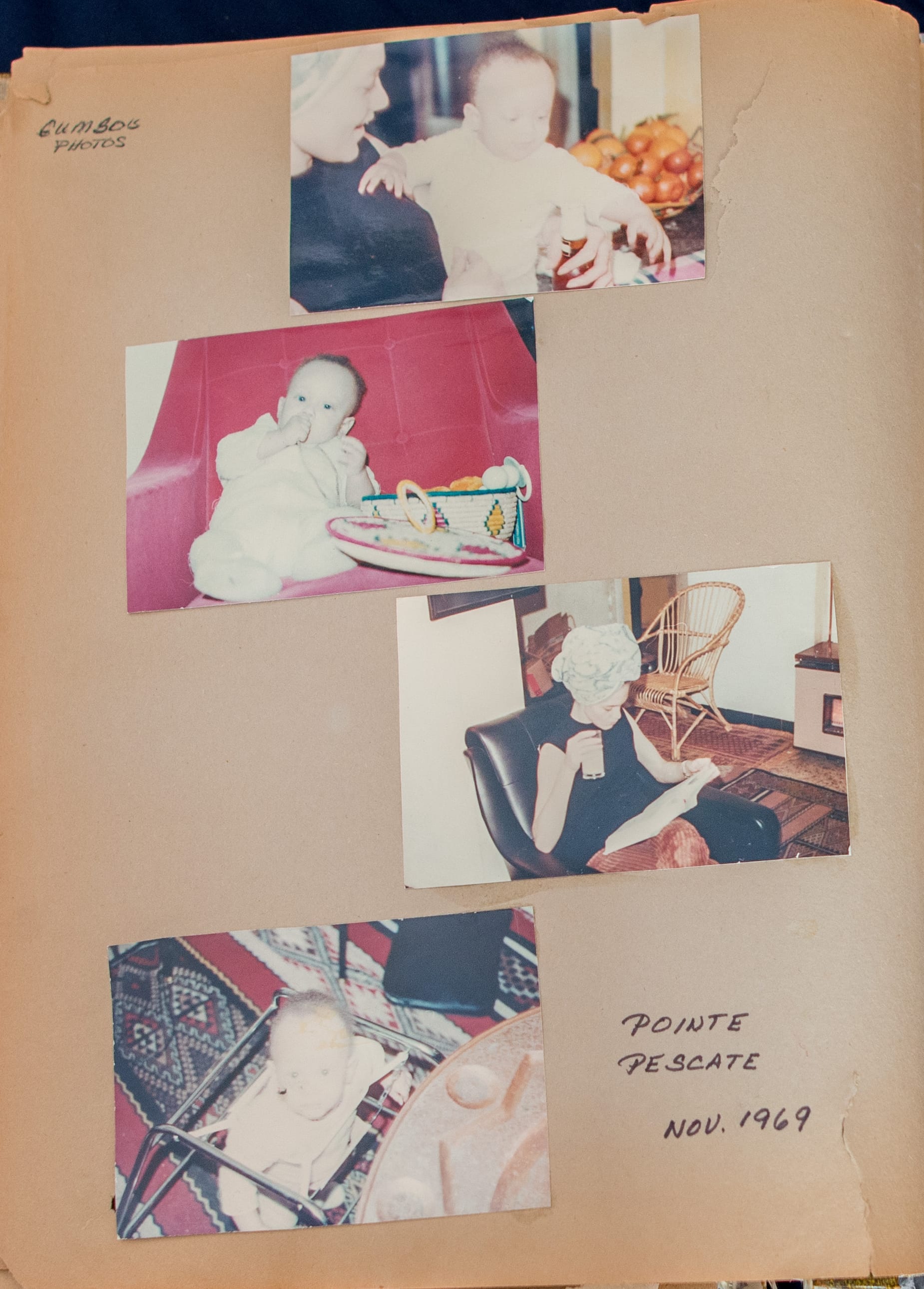 Inside a Black Panther Family Album