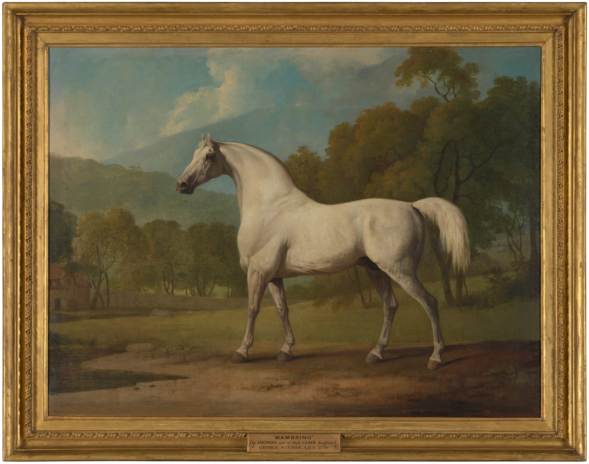 Tale of a Riderless Horse