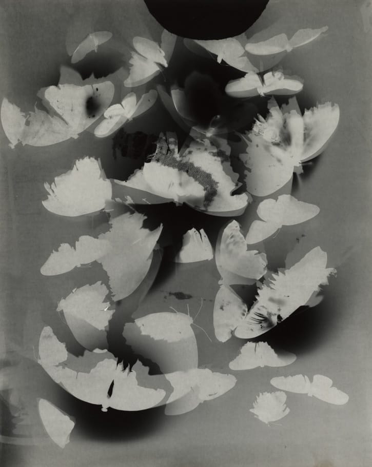 10 Exhibitions to See in Upstate New York This May