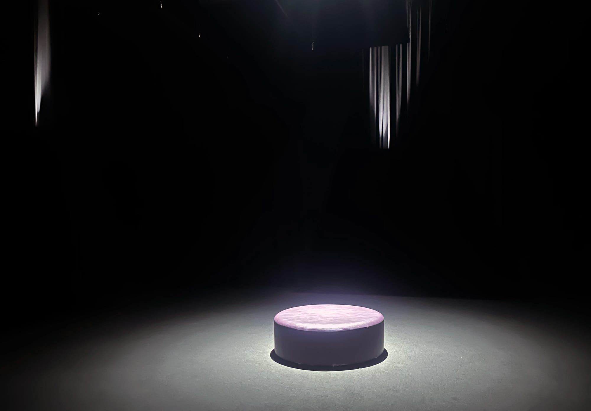30 Must-See Art Shows in New York City This Summer