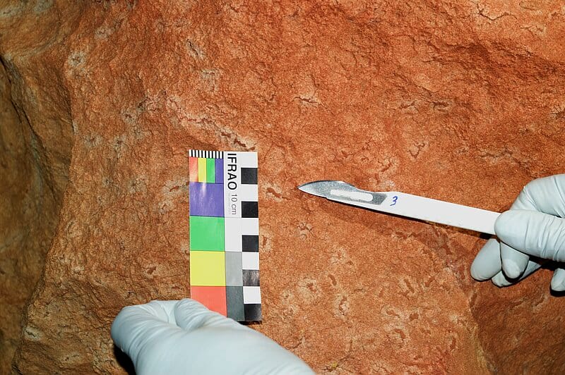 Human DNA in Cave Paintings Can Survive For Millennia, Study Finds