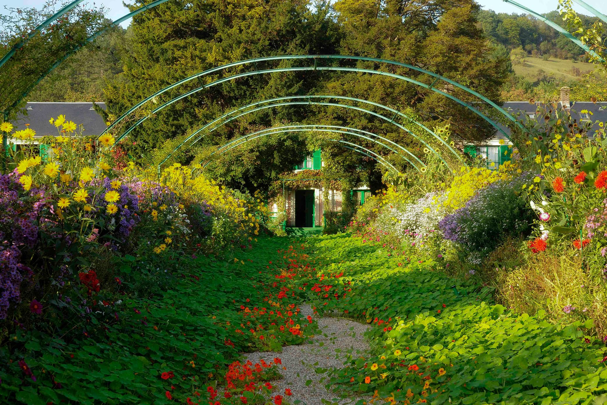 Heatwaves in France Damage Beloved Flowers at Monet’s Gardens