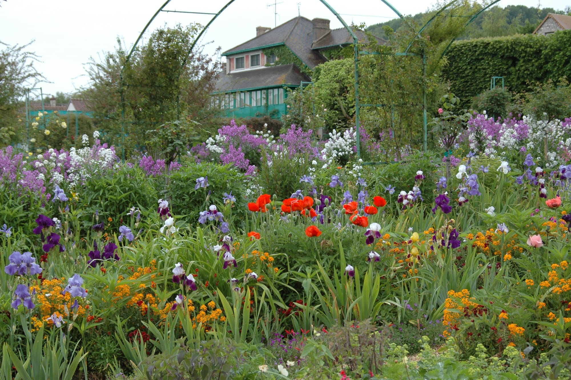 Heatwaves in France Damage Beloved Flowers at Monet’s Gardens