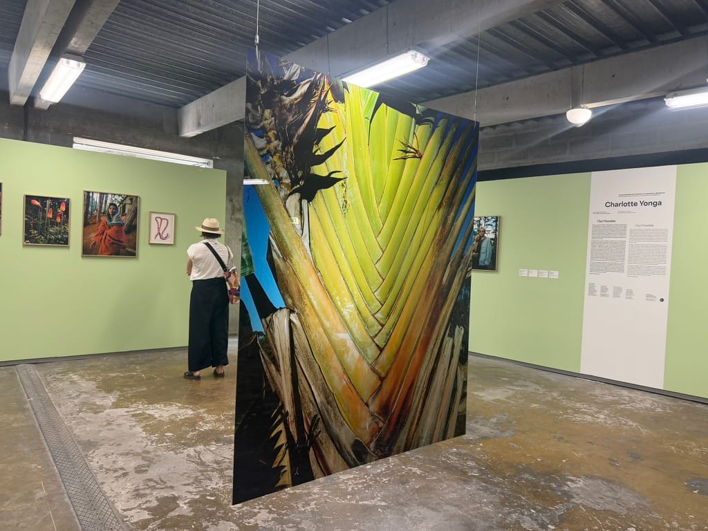 At This Year's Rencontres d'Arles, Photography Rethinks Its Centers