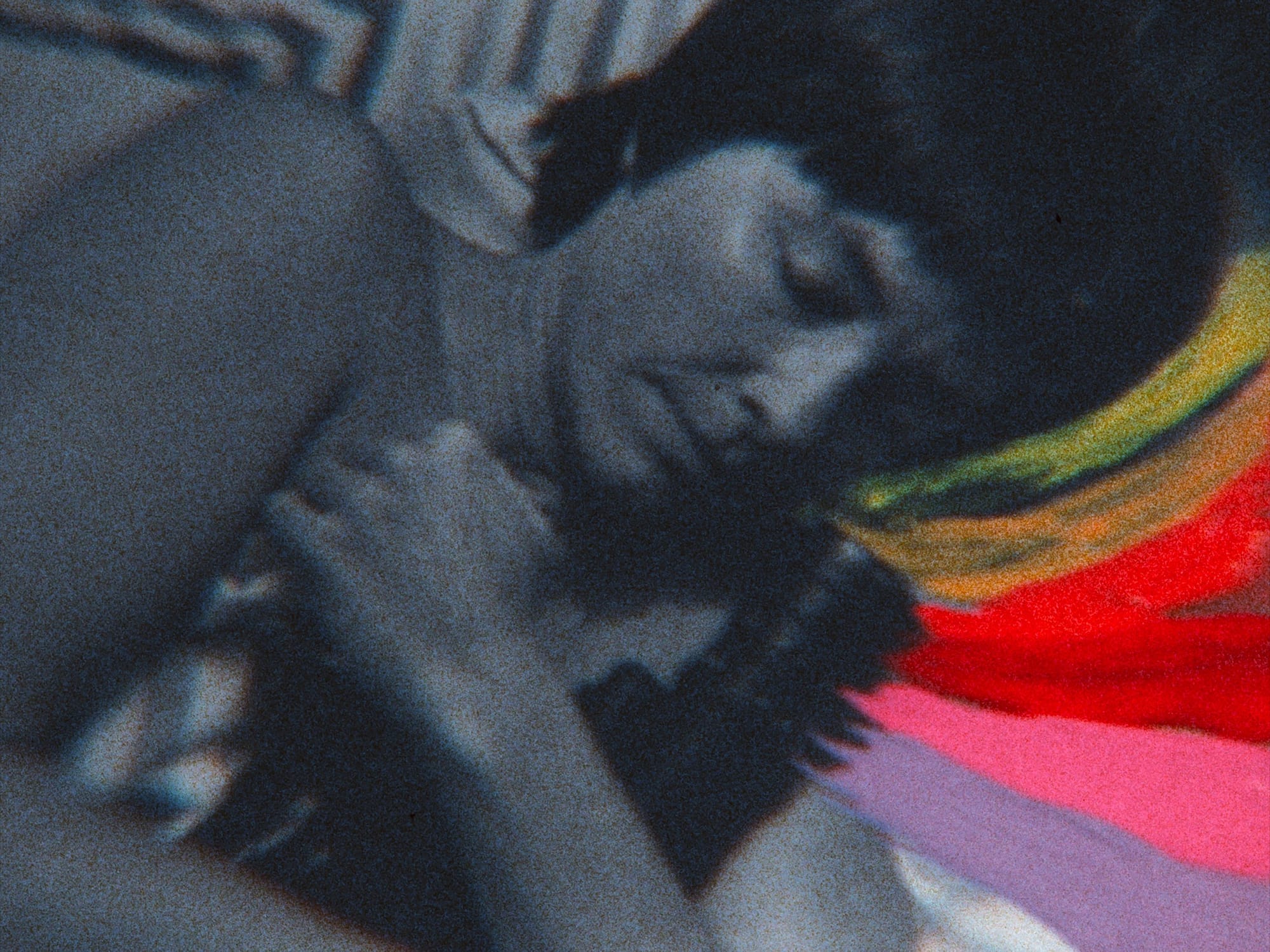 Barbara Hammer Through Her Own Lens
