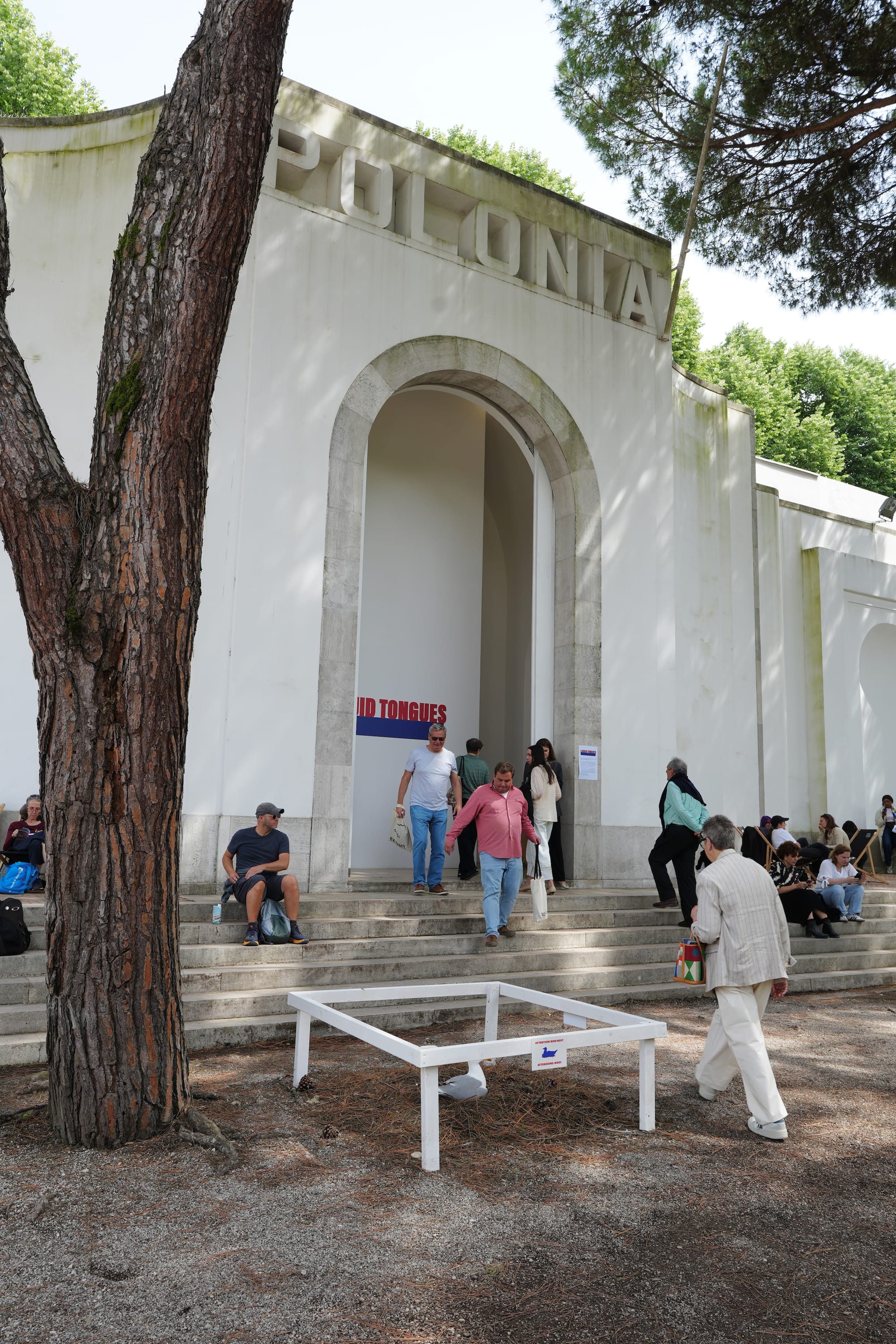 National Pavilions We Loved at the Venice Biennale