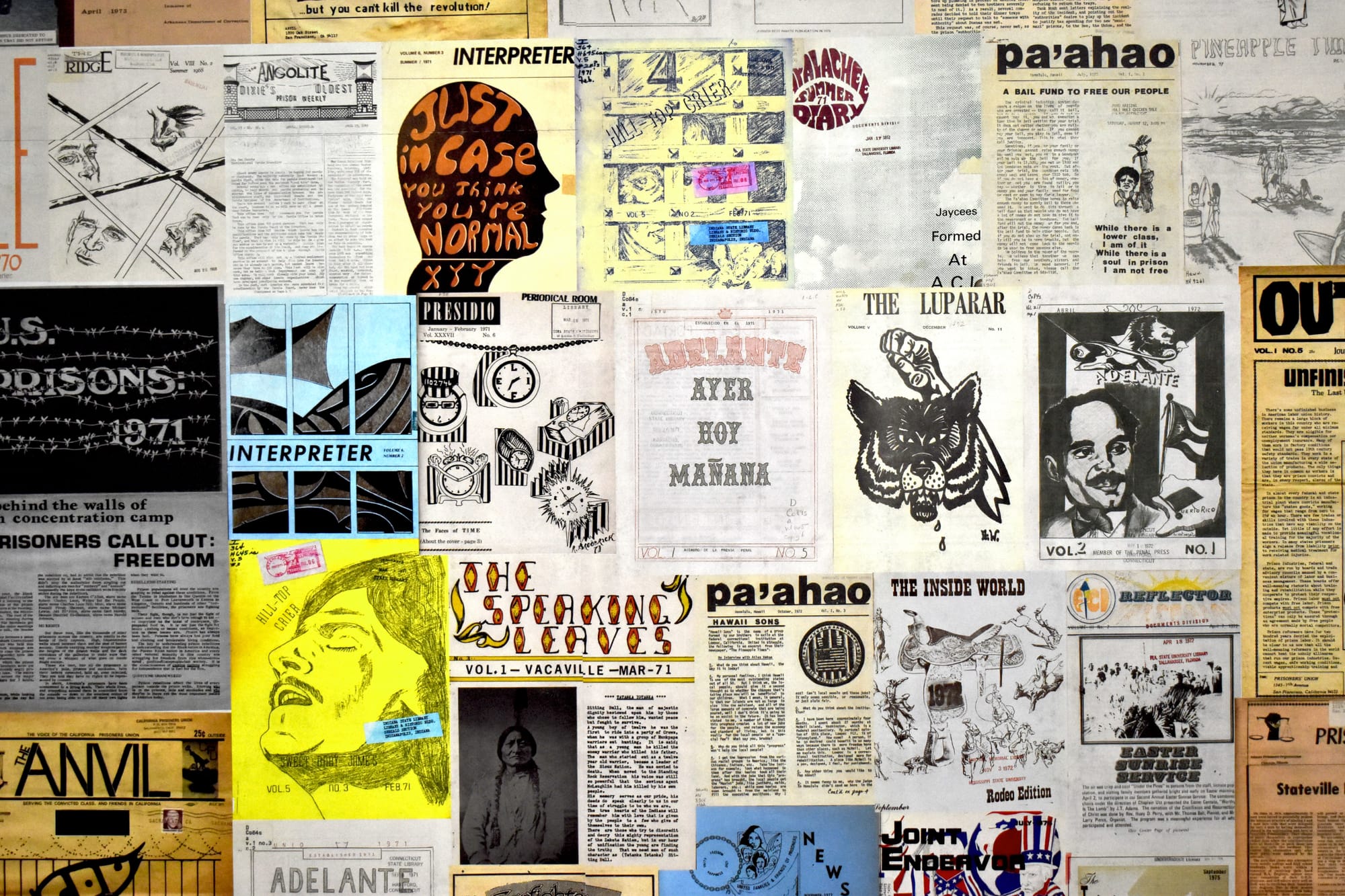 10 Art Shows to See in Chicago This Fall