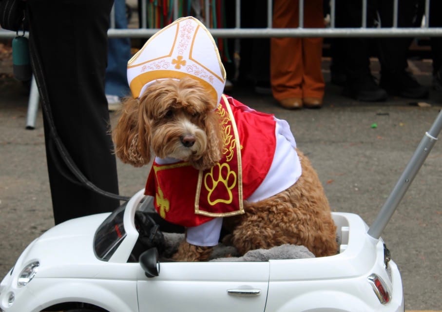 Let’s Give a Round of A-Paws to These Tompkins Dog Parade Participants