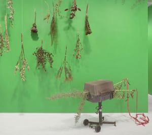 Installation view of Alex Bag's Reality Tunnel Vision (via Elizabeth Dee Gallery)