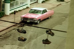 Williamsburg or Miami Beach? Some things are simply universal. (photo via Flickr, phil h) 