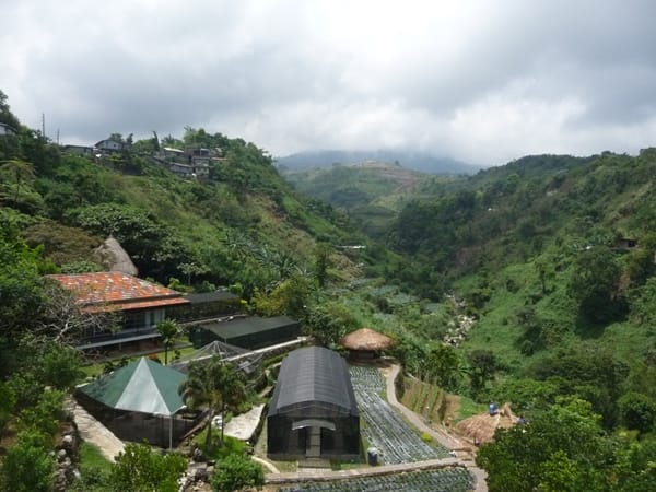 A view of the Bencab Museum, nestled in the hills of Baguio, a few hours north of Manila. Bencab, aka Benedicto Cabrera, was the Philippines' 2006 national artist.