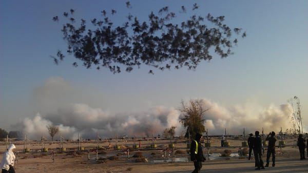 Museum Nerd tweeted out this image from Cai Guoqiang's show at the Qatar Museums Authority.