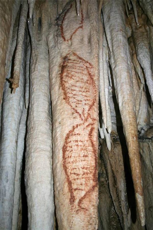These cave paintings of seals are believed to be at least 42,000 years old, making them the oldest dated paintings known to man. (photo by the Fundación Cueva de Nerja, via diariocordoba.com)
