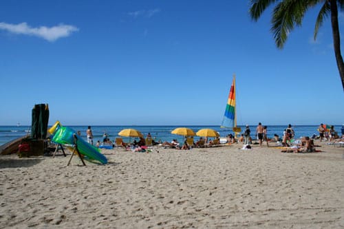 This is Hawaii, not LA, but it's all the same, right?  (photo by author)