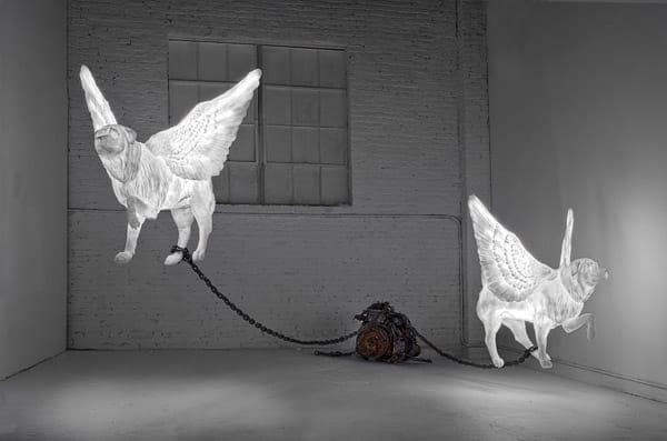 Martha Pels, "To Fly, To Drive"