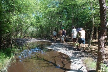 Fire Island Artist Residency offers participants a place to live, work and play--at almost no cost. Image courtesy Chris Borgia.