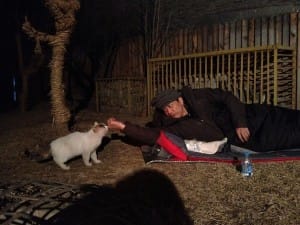 One of Caochangid's many cats comes to pay a visit.